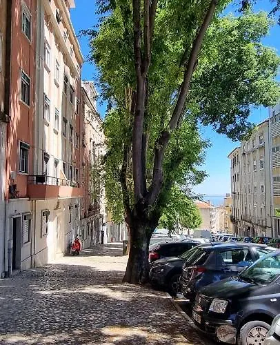 Coliving In Center Long-term *